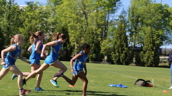 Image for Wolf Pack Wrap-Up: April 23