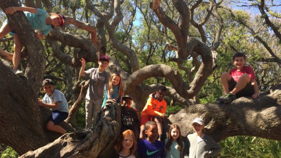 Image for Campfire Stories: Collaboration & Hands-on Learning with Outdoor Education