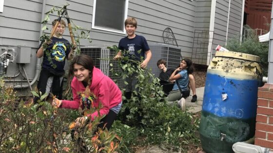 Image for Celebrate Earth Day with Earth-Friendly Activities