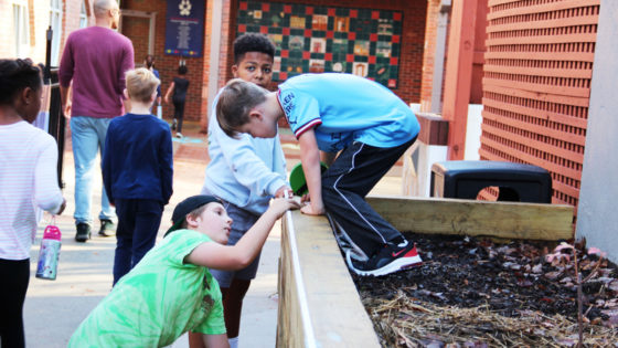 Image for How Does Play Lead to Academic Success?