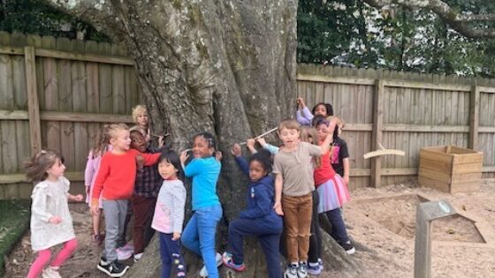 Image for TCS Sugarberry Tree Recognized as Atlanta Champion, Potential National Contender