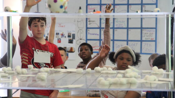 Image for The World Peace Game: Building Leadership and Problem-Solving Skills in Seventh Graders