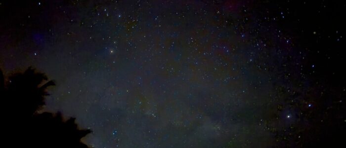 Costa_Rica_2026_Night_Sky A stunning night sky filled with thousands of stars and a visible swath of the Milky Way, photographed from Costa Rica with the dark silhouettes of palm trees visible in the lower left corner.